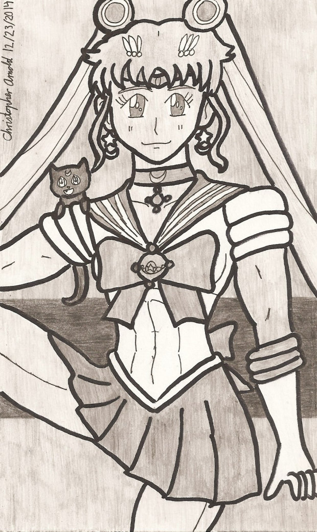 Sailor Moon and Luna 2014