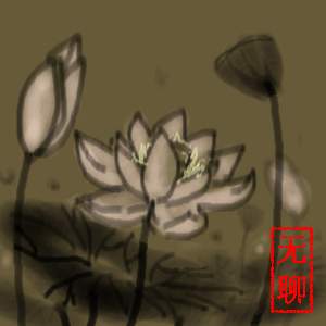 Water Lily
