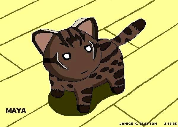 Surprises Come In Small Packages