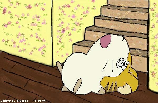 Ham  Ham Hits The Floor