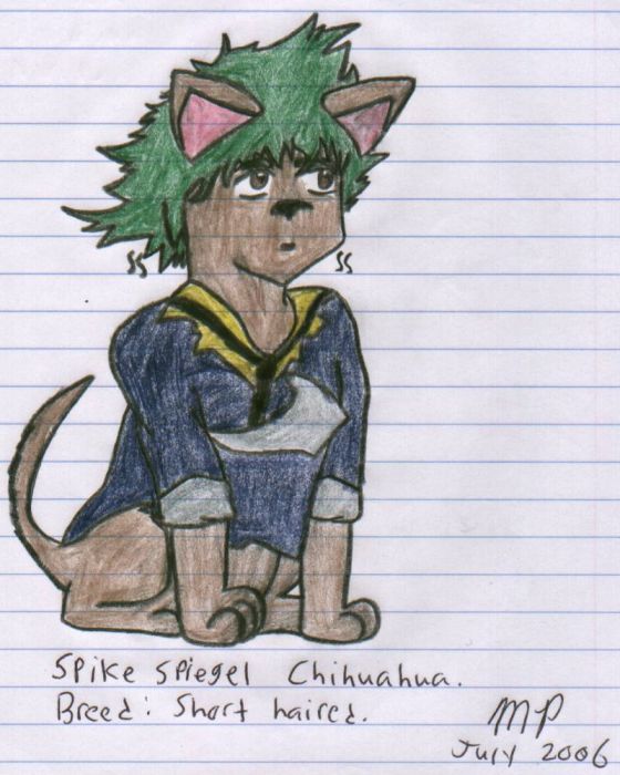 Spike Chihuahua