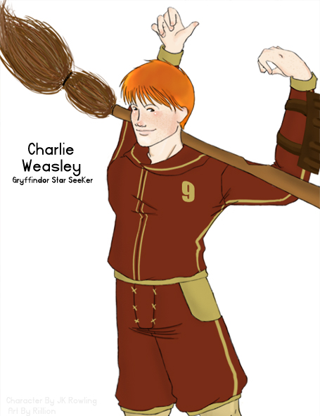 Gryffindor Star Seeker