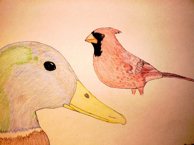 Mallard and Cardinal