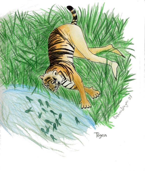 Twiliwolf's  Contest Entry