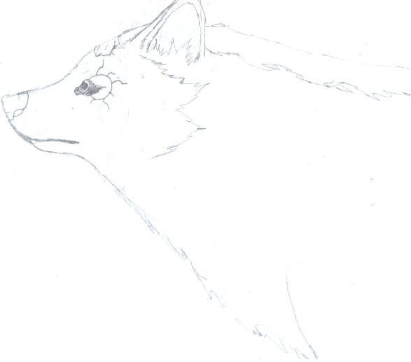 Paradoyx: Demon Of The Haze