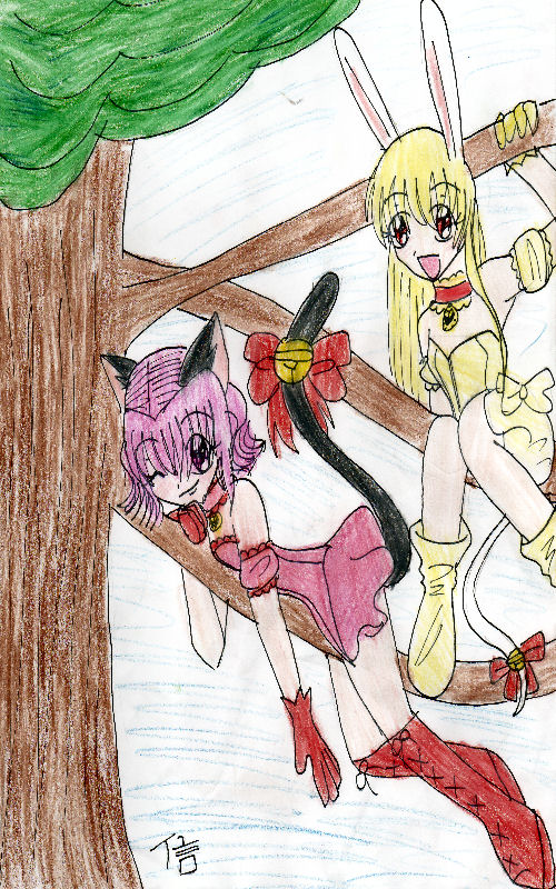 Request- Berii And Ichigo