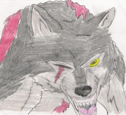 Go Down Fighting Tsume!!