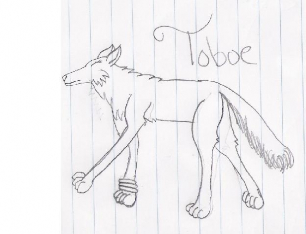 Toboe