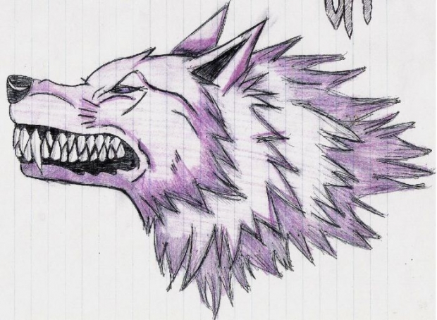 Kool Wolf Demon