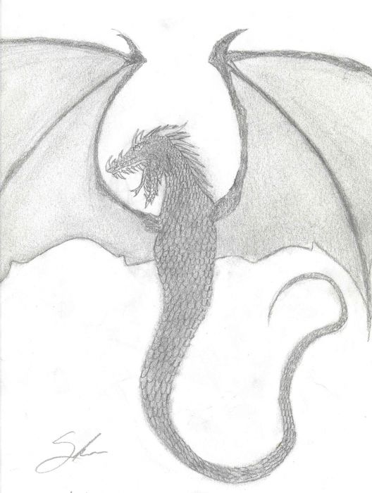 Stupid Looking Dragon Thingy-_-