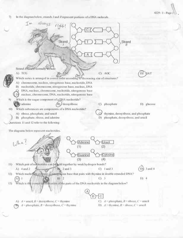 Biology Homework Lol^^