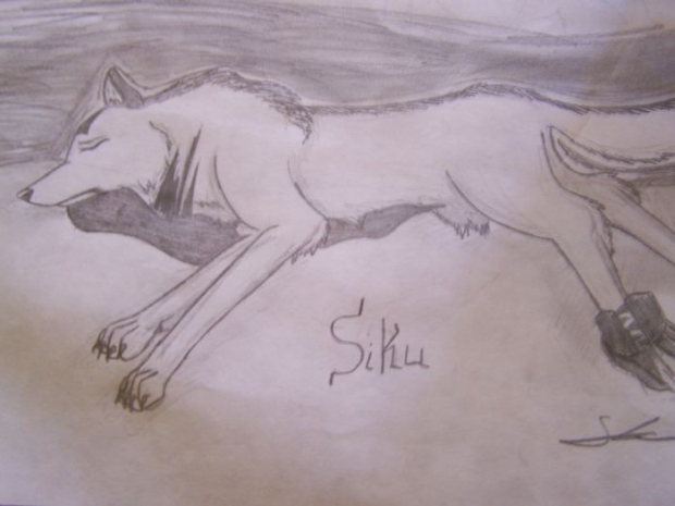 Death Of Siku