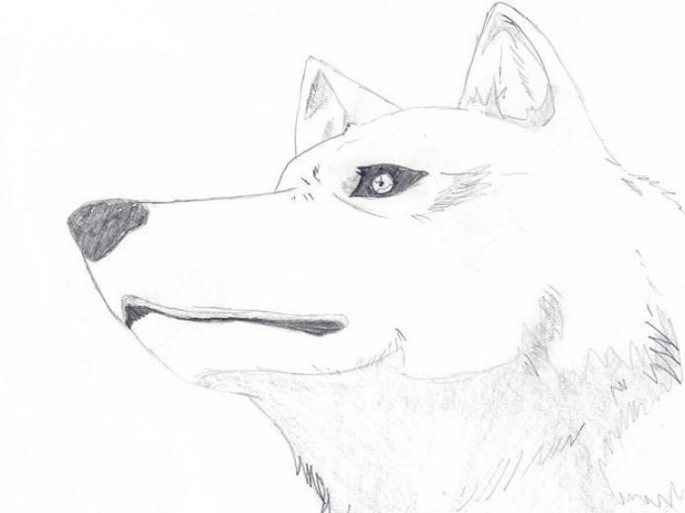 Kiba-wolf Form