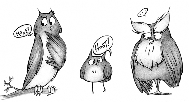 Owls