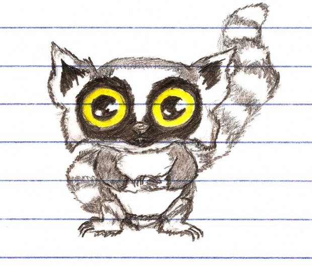 Lemur thing