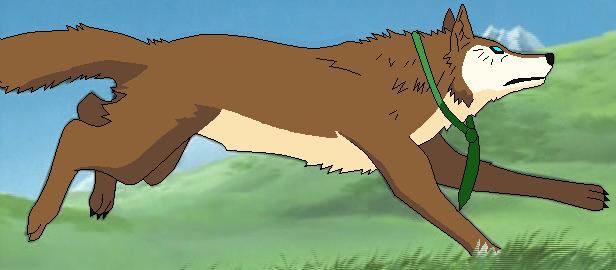 A Gift For Bluekitty