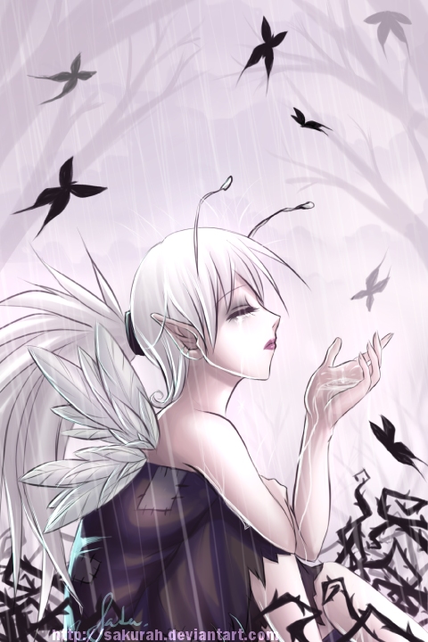 Let The Rain Fall...