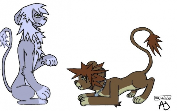 Lion Forms