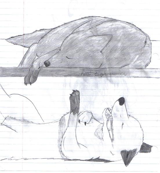 Korani And Oko^-^ Bordom Sketch