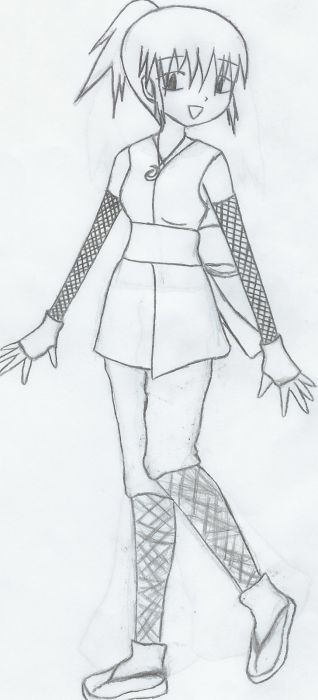 Ninja Princess Of Ice