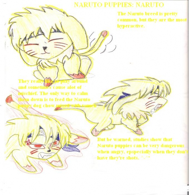 Naruto Puppies: Naruto