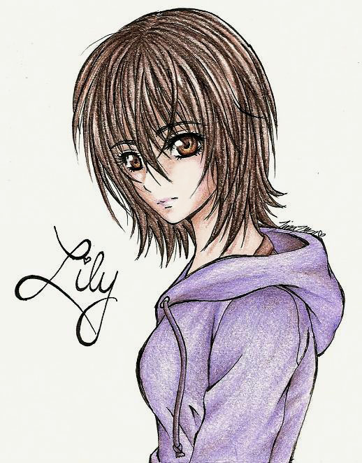 Lily: old version