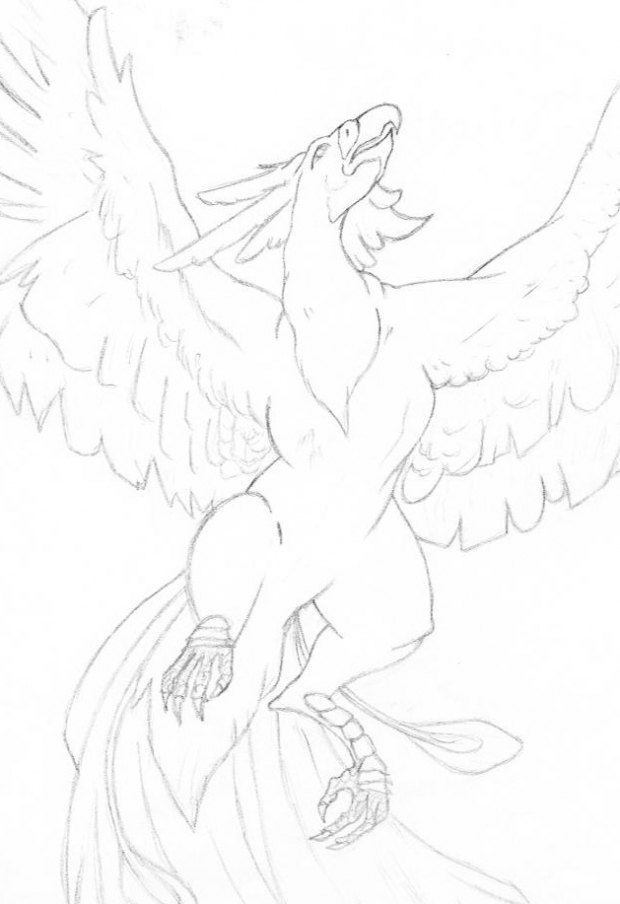 Pheonix