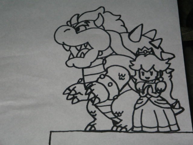 Paper Mario(bowser And Princess P.)