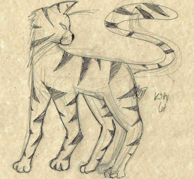 Cat Sketch