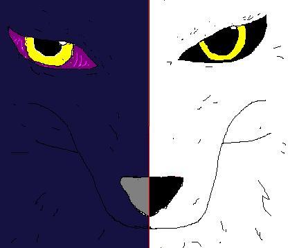 Wolf Staredown