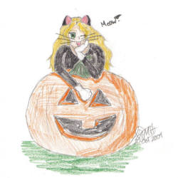 Halloween Cat