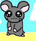 Kawaii Hamster