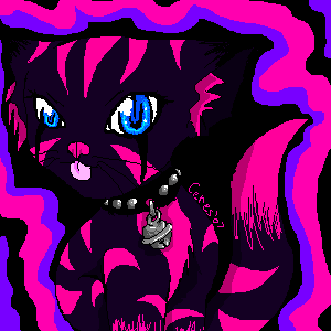 A Cheshire Cat