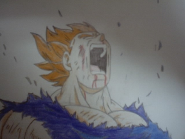 Vegeta About To Self Destruct(color