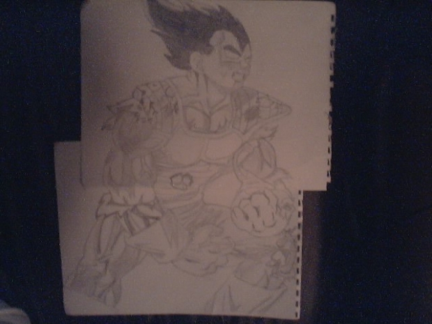 Vegeta After Battle