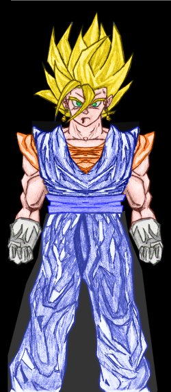 Vegetto - Color