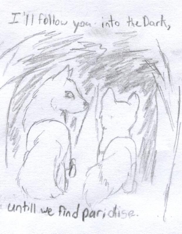 I Will Follow You Into The Dark