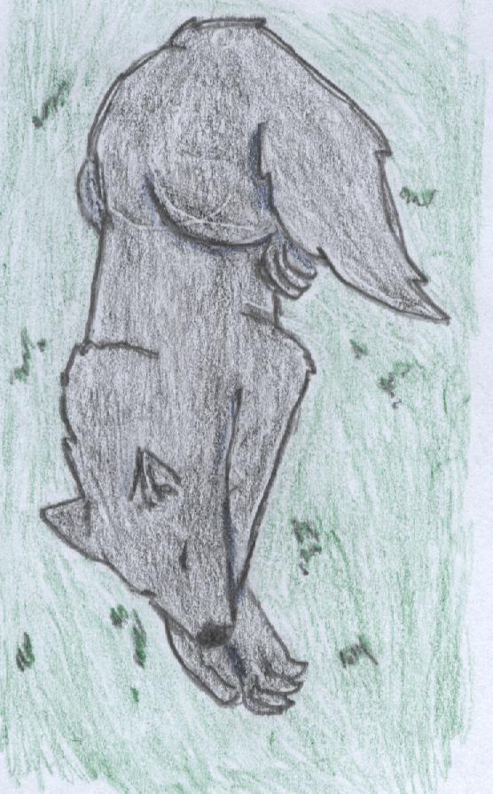 Request  For Physcho