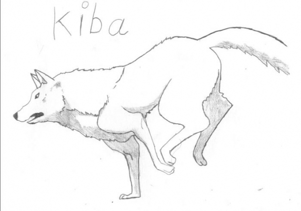 Kiba