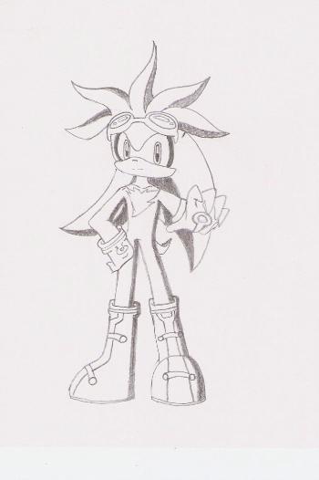 Sonic Riders : Silver