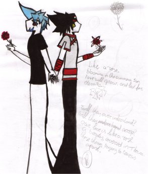 Black Roses, Red Roses