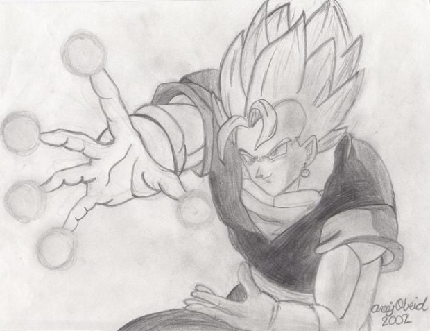 Vegetto's Wrath