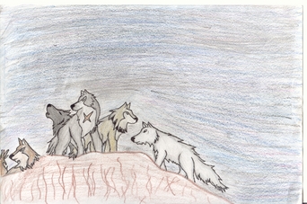 Entrance To Paradise?