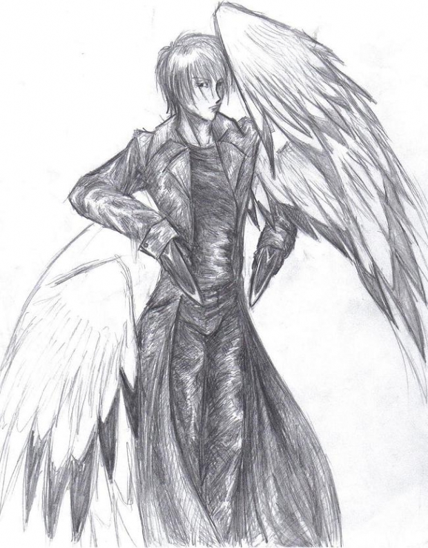 Angelic Assassin