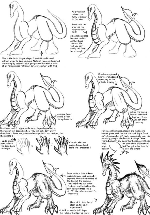 Whtdragons' Dragonbody Referance