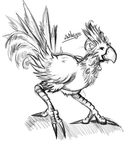 Chocobo!