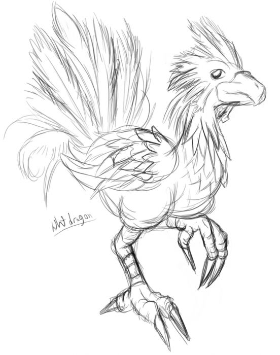 Sketchy Chocobo