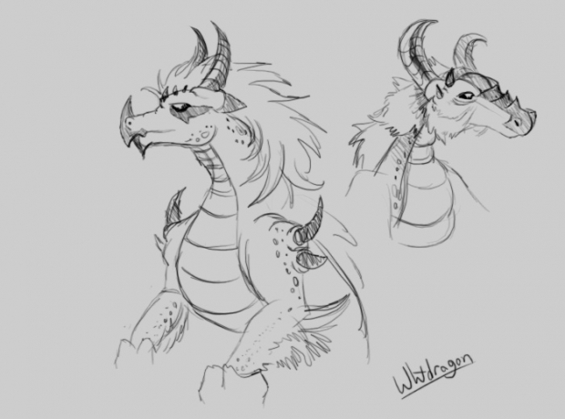 quick dragons
