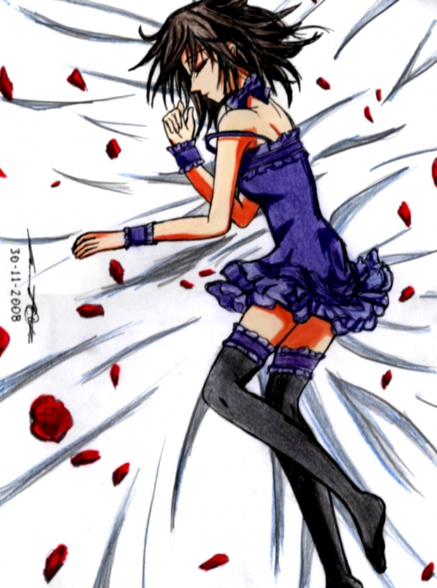 Yuuki chan, Vampire knight