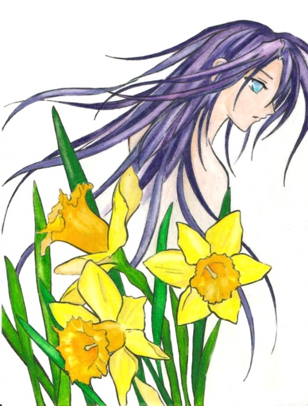 Daffodils